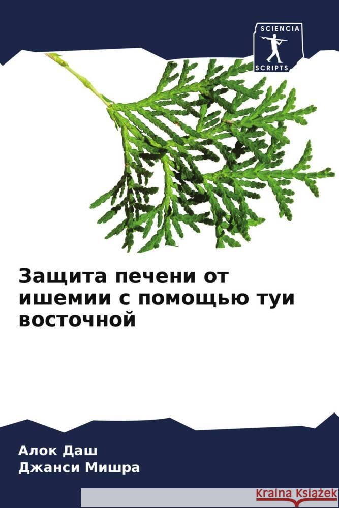 Zaschita pecheni ot ishemii s pomosch'ü tui wostochnoj Dash, Alok, Mishra, Dzhansi 9786207130290 Sciencia Scripts - książka