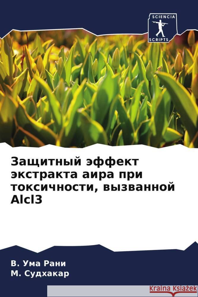 Zaschitnyj äffekt äxtrakta aira pri toxichnosti, wyzwannoj Alcl3 Uma Rani, V., Sudhakar, M. 9786204785707 Sciencia Scripts - książka