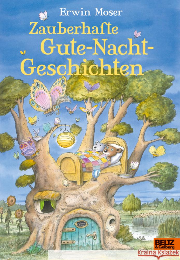 Zauberhafte Gute-Nacht-Geschichten Moser, Erwin 9783407757203 Beltz - książka