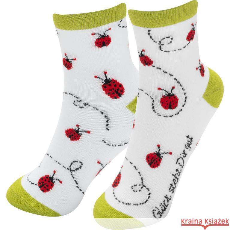 Zaubersocken Frauen Gut  4036018744236 Gruss & Co - książka