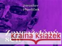 Zavražděný sen a jiné povídky Jaroslav Havlíček 8594169486437 OneHotBook - książka