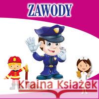 Zawody Szewczyk Małgorzata 9788380380844 Arystoteles - książka