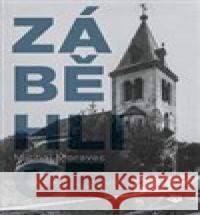 Záběhlice Michal Moravec 9788072642014 Toužimský a Moravec - książka