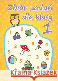 Zbiór zadań dla klasy 1  9788365313010 Pryzmat - książka