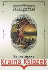 Zbuntowane i zwyciężone Ossendowski Antoni Ferdynand 9788367068758 Miles - książka