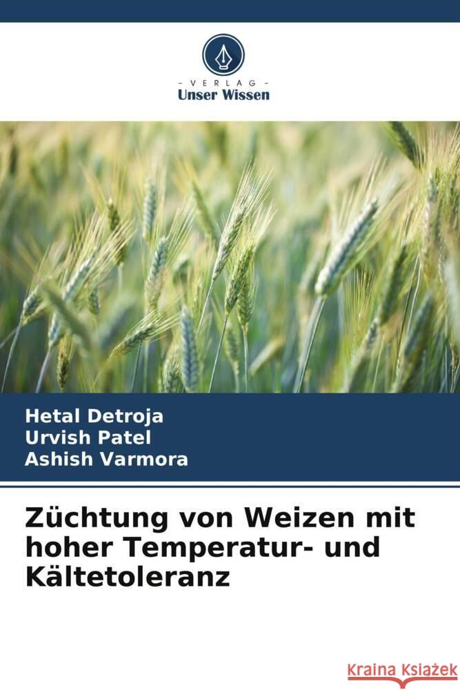 Züchtung von Weizen mit hoher Temperatur- und Kältetoleranz Detroja, Hetal, Patel, Urvish, Varmora, Ashish 9786208616281 Verlag Unser Wissen - książka