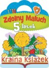 Zdolny maluch. 5-latek Kuryjak Joanna 9788379150434 Skrzat