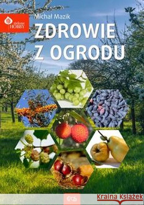 Zdrowie z ogrodu Mazik Michał 9788363957599 Egros - książka