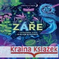 Záře Jennifer N. R. Smith 9788027761623 Drobek - książka