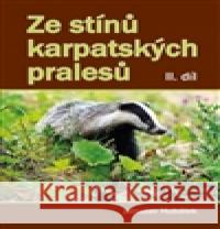 Ze stínů karpatských pralesů Jaroslav Hubálek 9788074971570 Akcent - książka