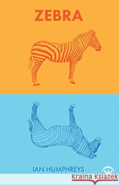 Zebra Ian Humphreys 9781911027706 Nine Arches Press - książka