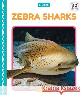 Zebra Sharks Julie Murray 9781098244279 Cody Koala - książka