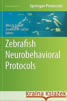 Zebrafish Neurobehavioral Protocols Allan V. Kalueff Jonathan M. Cachat 9781607619529 Not Avail - książka