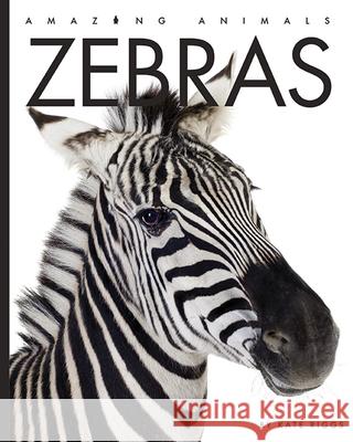 Zebras Kate Riggs 9781640265196 Creative Education - książka