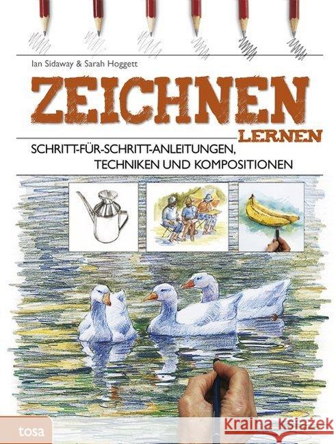 Zeichnen lernen : Schritt-für-Schritt-Anleitungen, Techniken und Kompositionen Sidaway, Ian; Hoggett, Sarah 9783863135546 Tosa - książka