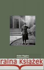 Zejdź na dół, Langrishe Aidan Higgins 9788366257603 Ossolineum - książka