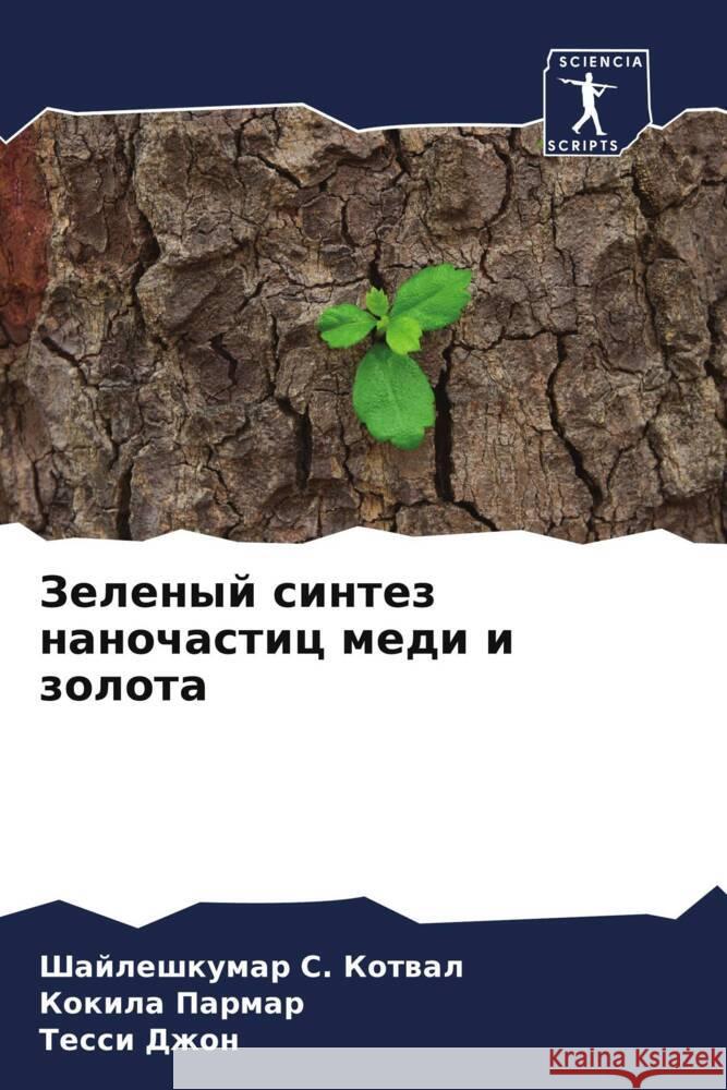 Zelenyj sintez nanochastic medi i zolota Kotwal, Shajleshkumar S., Parmar, Kokila, Dzhon, Tessi 9786204781839 Sciencia Scripts - książka