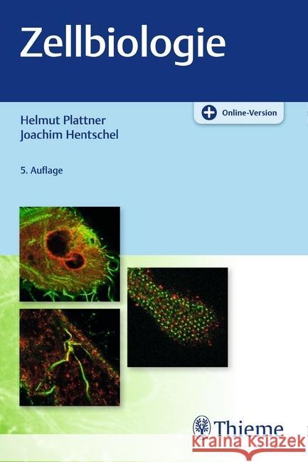 Zellbiologie : Plus Online-Version Plattner, Helmut; Hentschel, Joachim 9783132402270 Thieme, Stuttgart - książka