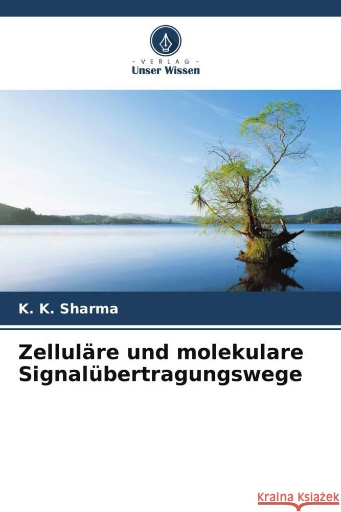 Zellul?re und molekulare Signal?bertragungswege K. K. Sharma Ritu Gupta 9786205200087 Verlag Unser Wissen - książka