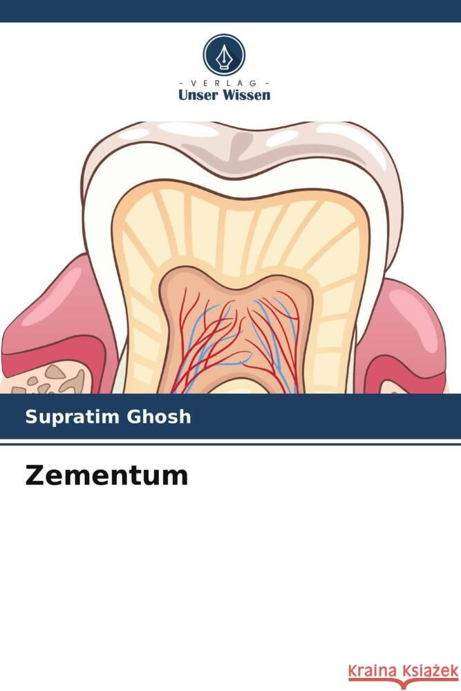 Zementum Supratim Ghosh 9786207985234 Verlag Unser Wissen - książka