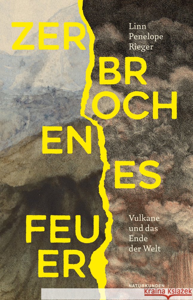 Zerbrochenes Feuer Rieger, Linn Penelope 9783751840323 Matthes & Seitz Berlin - książka