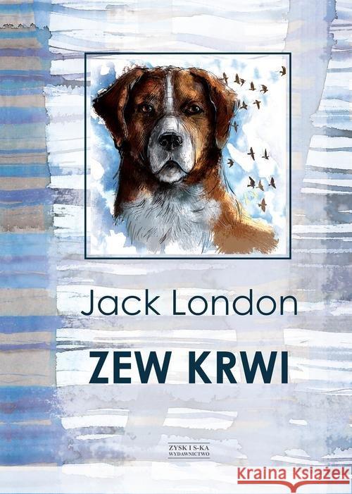 Zew krwi London Jack 9788381168595 Zysk i S-ka - książka