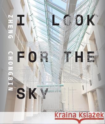 Zheng Chongbin: I Look for the Sky Chen, Abby 9780939117901 Asian Art Museum of San Francisco - książka