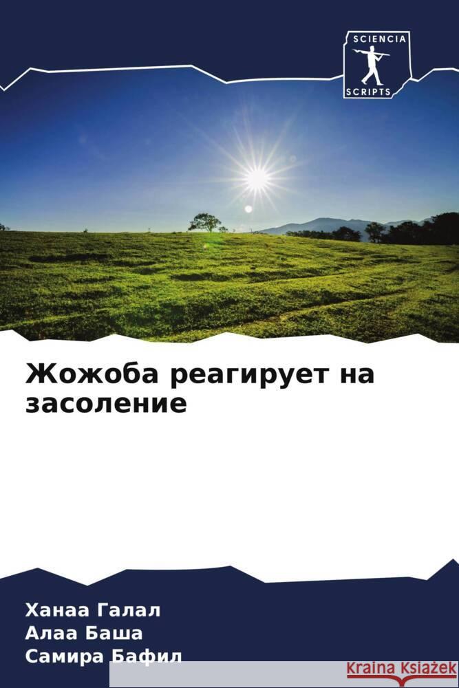 Zhozhoba reagiruet na zasolenie Galal, Hanaa, Basha, Alaa, Bafil, Samira 9786208564711 Sciencia Scripts - książka