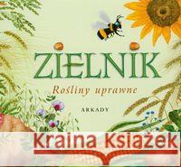 Zielnik. Rośliny uprawne Garbarczyk Małgorzata Garbarczyk Henryk 9788321345680 Arkady - książka