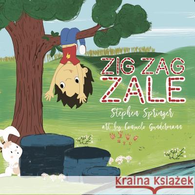 Zig Zag Zale Stephen Springer 9780359739363 Lulu.com - książka