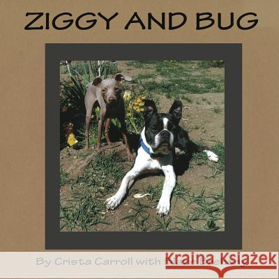 Ziggy and Bug Crista Carroll Blaze Brehony 9781484860953 Createspace - książka