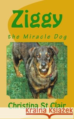 Ziggy, the Miracle Dog Christina S Tom Zamaria 9781535074155 Createspace Independent Publishing Platform - książka