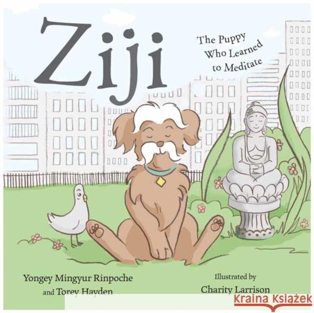 Ziji: The Puppy Who Learned to Meditate Yongey Mingyur Torey Hayden Charity Larrison 9781614294719 Wisdom Publications - książka