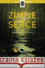 Zimne serce Lisa Regan 9788327167835 Dolnośląskie - książka