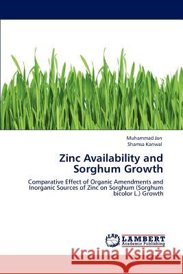 Zinc Availability and Sorghum Growth Muhammad Jan Shamsa Kanwal  9783846535561 LAP Lambert Academic Publishing AG & Co KG - książka