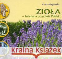 Zioła. Świetlana przyszłość Polski... Magowska Anita 9788388572524 Kontekst - książka