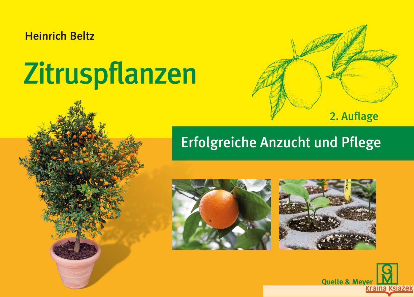 Zitruspflanzen Beltz, Heinrich 9783494022734 Quelle & Meyer - książka