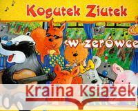 Ziutek. Kogutek Ziutek w zerówce Sudoł Barbara 9788374372725 Skrzat - książka