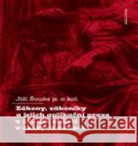 Zákony, zákoníky a jejich aplikační praxe v 18.-20. století v českých zemích Jiří Šouša ml. 9788024658339 Karolinum - książka