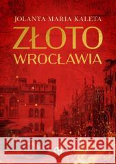 Złoto Wrocławia Jolanta Maria Kaleta 9788382411096 MG - książka