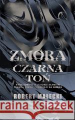 Zmora. Czarna toń Robert Małecki 9788308086988 Literackie - książka