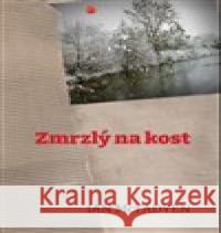 Zmrzlý na kost Ian McFadyen 9788090798564 AllAboutBooks - książka