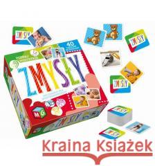 Zmysły - Pamięć  5906395301799 Multigra - książka
