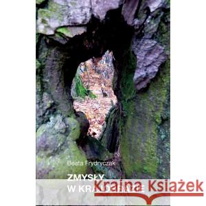 Zmysły w krajobrazie FRYDRYCZAK BEATA 9788366511286 PRZYPIS - książka
