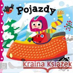 Zobacz, dotknij, poczuj! Pojazdy Grażyna Wasilewicz 9788382131567 Aksjomat - książka