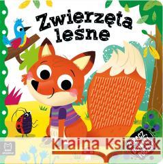 Zobacz, dotknij, poczuj! Zwierzęta leśne Grażyna Wasilewicz 9788382131574 Aksjomat - książka