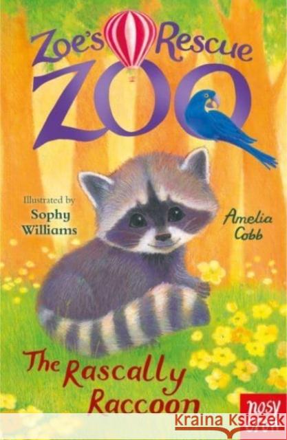 Zoe's Rescue Zoo: The Rascally Raccoon Amelia Cobb 9781839945076 Nosy Crow Ltd - książka