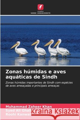 Zonas húmidas e aves aquáticas de Sindh Khan, Muhammad Zaheer, Ghalib, Syed Ali, Kanwal, Roohi 9786208696399 Edições Nosso Conhecimento - książka