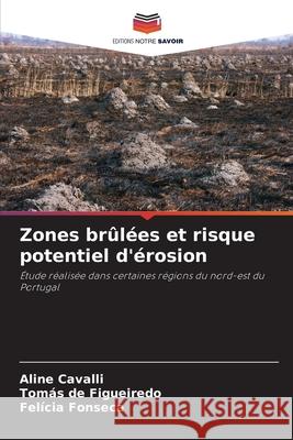 Zones brûlées et risque potentiel d'érosion Cavalli, Aline, de Figueiredo, Tomás, Fonseca, Felícia 9786206806943 Editions Notre Savoir - książka