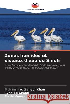 Zones humides et oiseaux d'eau du Sindh Khan, Muhammad Zaheer, Ghalib, Syed Ali, Kanwal, Roohi 9786208696467 Editions Notre Savoir - książka